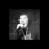Satelibra — Рекавері — обложка